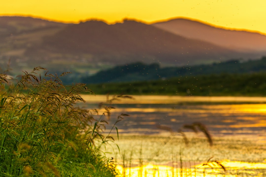 Tajemnice polskich jezior: odkryj ich magię 1 Photo polish lakes